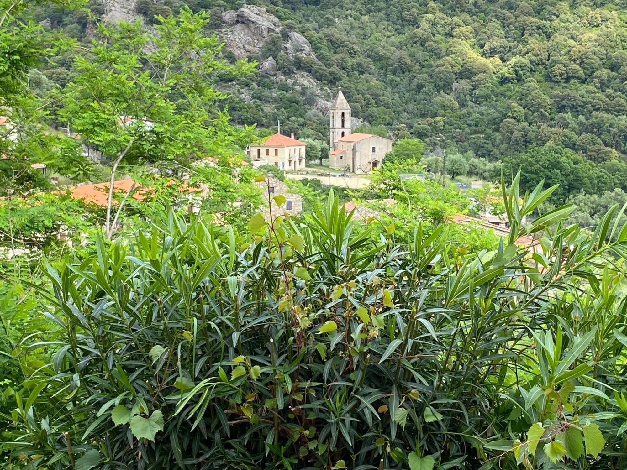 Casa Versini * Balogna